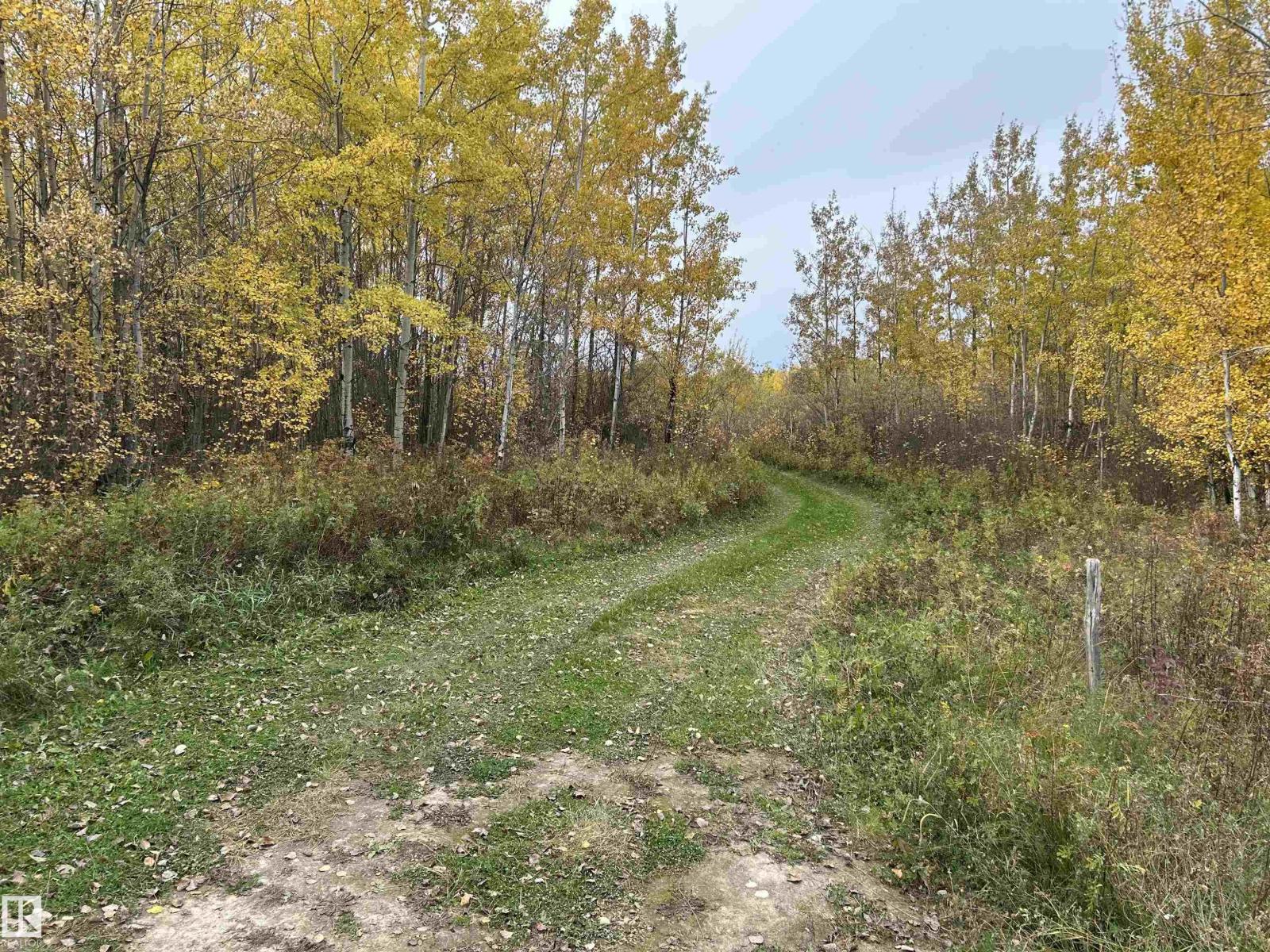 Rr 23 Twp 564, Rural Lac Ste. Anne County, Alberta  T0E 1V0 - Photo 3 - E4511870