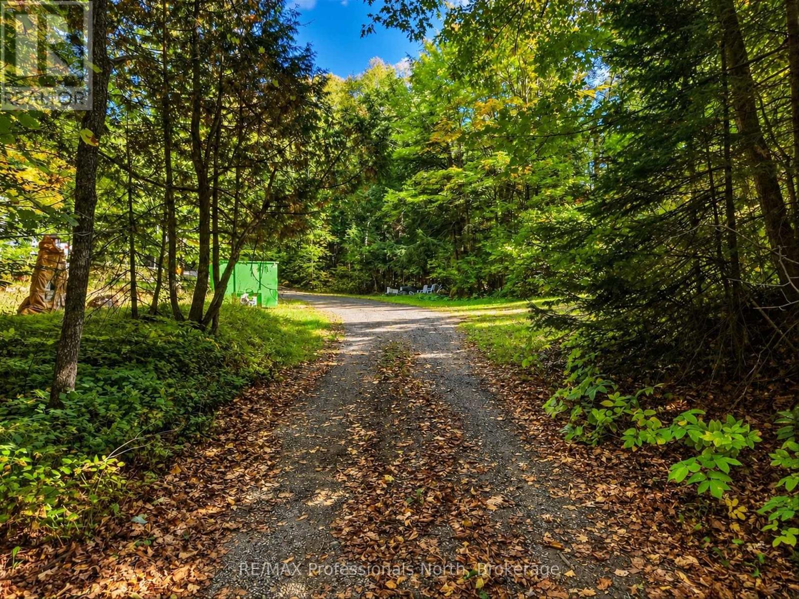 5110 Muskoka 117 Road, Lake Of Bays, Ontario  P0A 1E0 - Photo 3 - X13867724