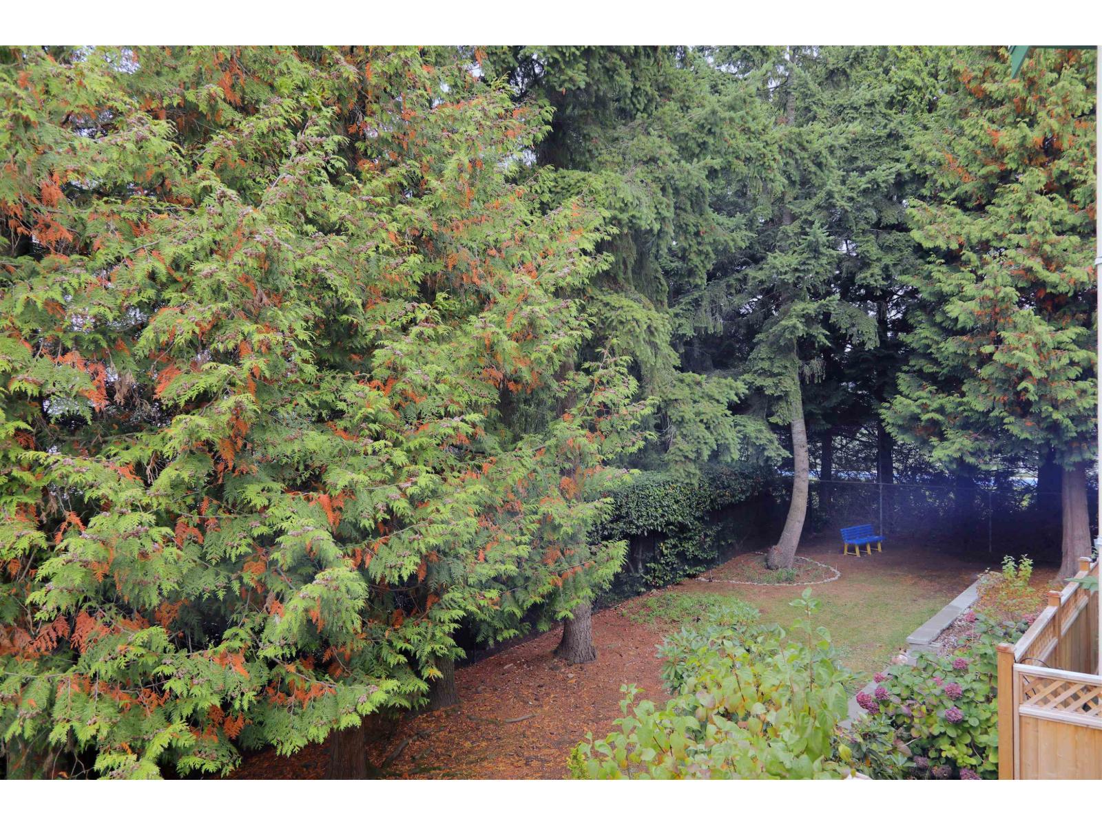 206 12633 72 Avenue, Surrey, British Columbia  V3W 0A4 - Photo 25 - R3172767