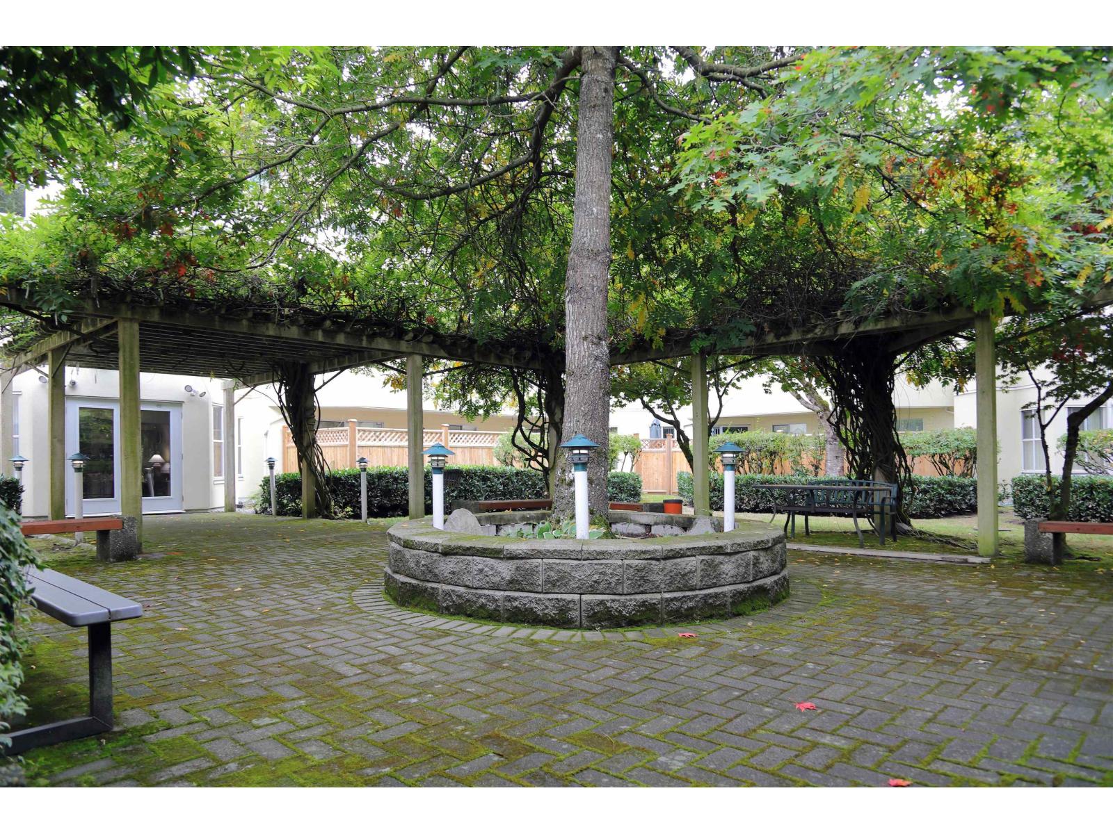 206 12633 72 Avenue, Surrey, British Columbia  V3W 0A4 - Photo 29 - R3172767