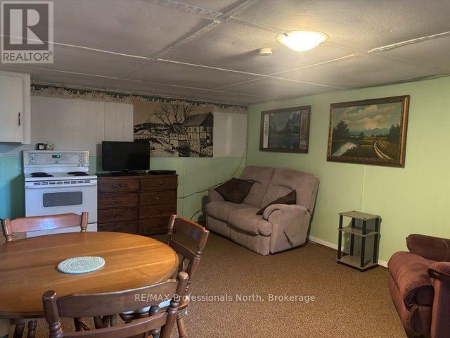 37 Prince Street, Minden Hills, Ontario  K0M 2K0 - Photo 18 - X13101220
