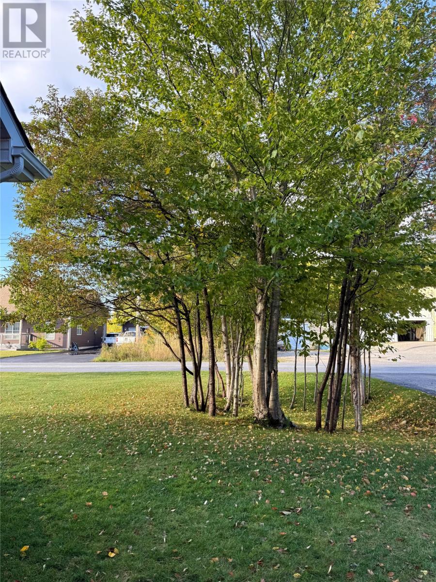2A Riverside Drive, Deer Lake — photo 35