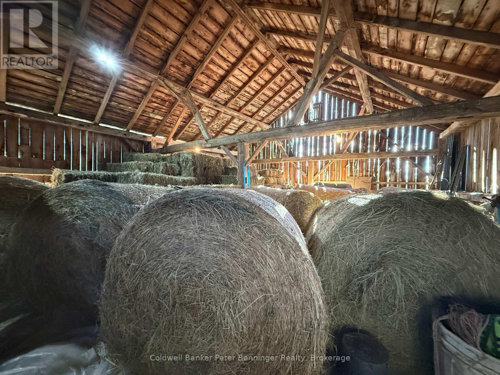 158 Bruce Rd 17 Road, Arran-Elderslie, Ontario N0H 2N0 - Photo 35 - X13867066
