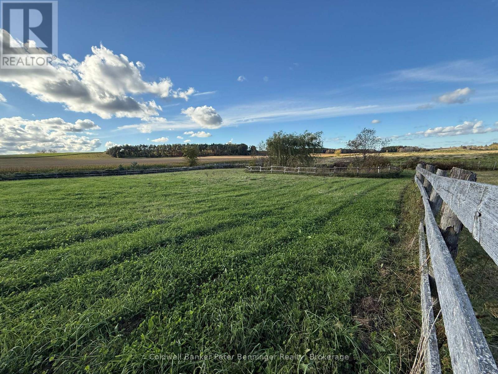 158 Bruce Rd 17 Road, Arran-Elderslie, Ontario N0H 2N0 - Photo 41 - X13867066