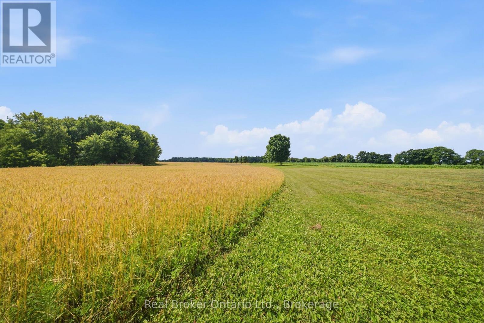 392 German School Road, Brant, Ontario  N3L 3E1 - Photo 43 - X13867958