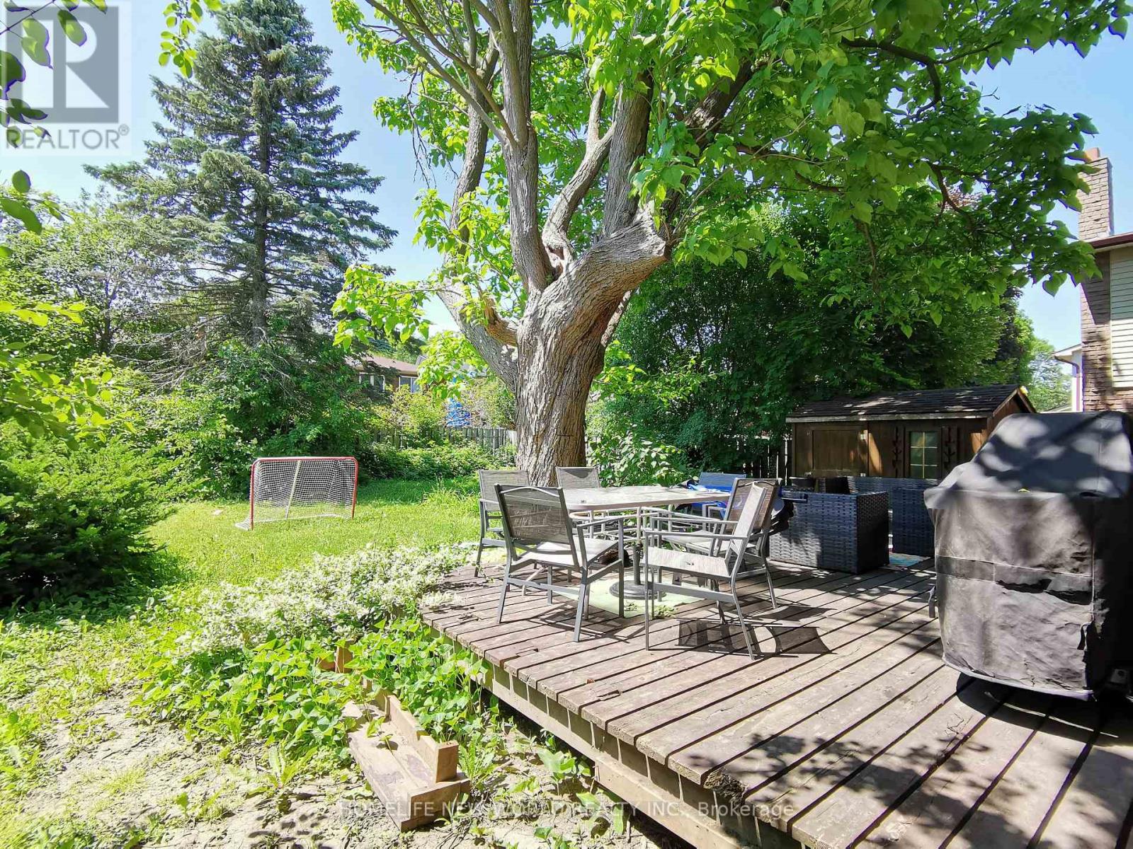 Main, Lower - 12 Jacob Drive, Whitby, Ontario  L1P 1B1 - Photo 21 - E13867862