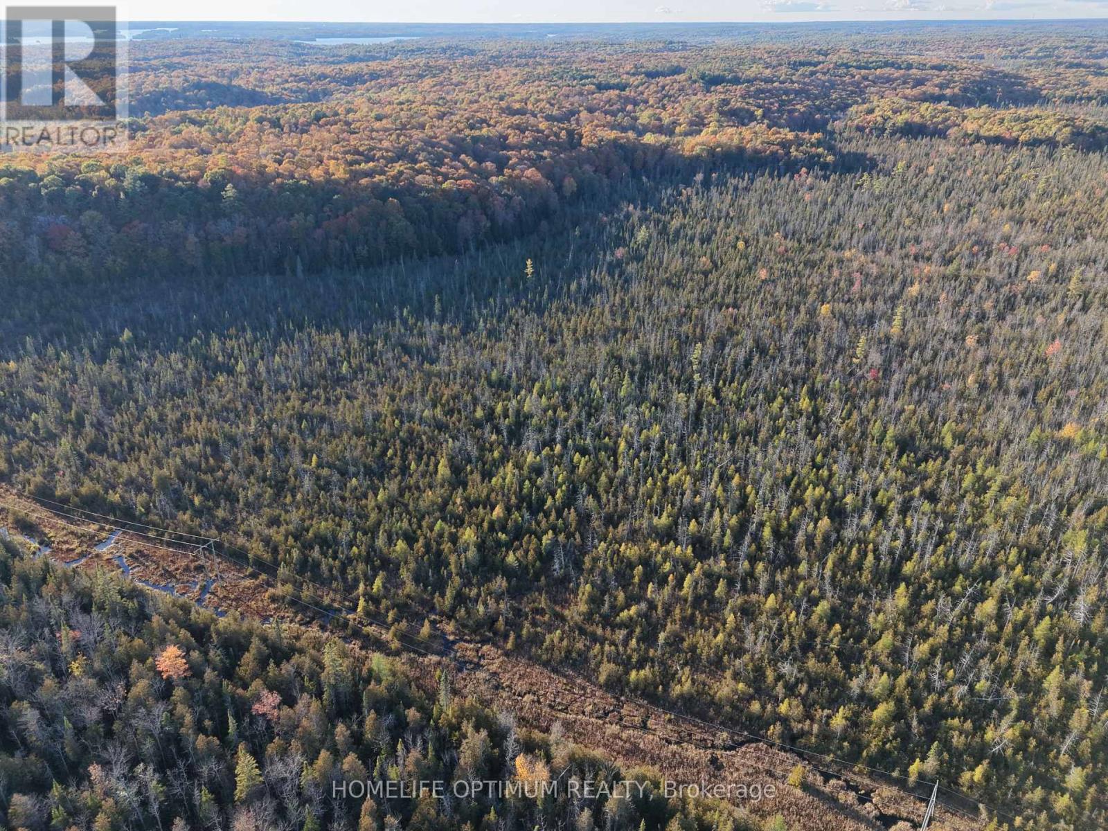 PCL 7717 & PCL 17235 LT 22 CON 3  & LT 21 CON 3, Muskoka Lakes, Ontario
