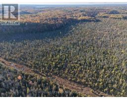 PCL 7717 & PCL 17235 LT 22 CON 3  & LT 21 CON 3, Muskoka Lakes, Ontario