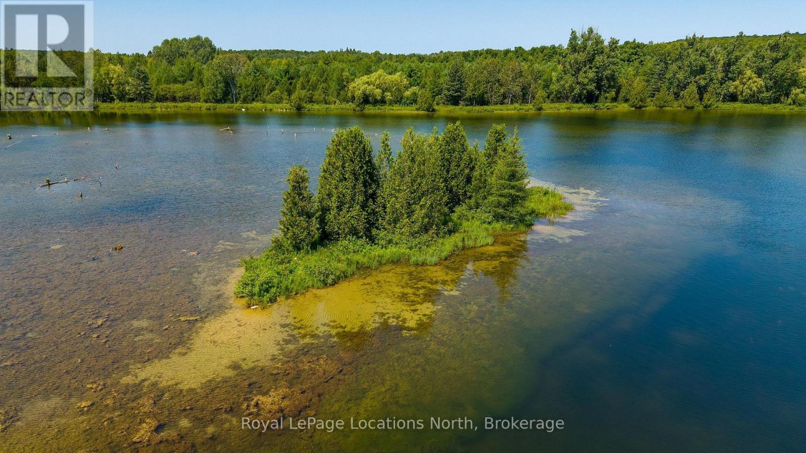 548037 3rd Side Road, Blue Mountains, Ontario N0H 2E0 - Photo 10 - X13868172