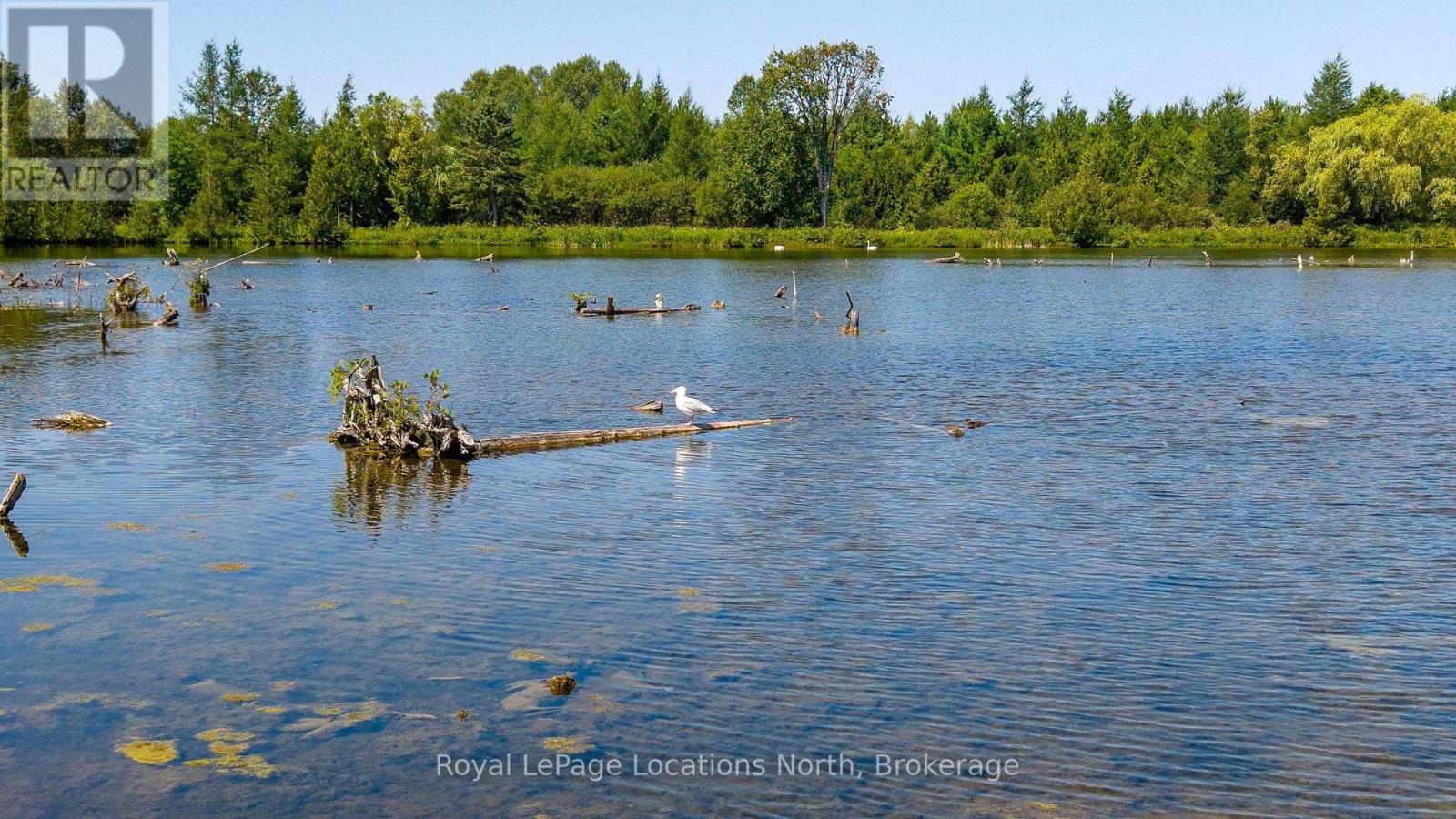 548037 3rd Side Road, Blue Mountains, Ontario N0H 2E0 - Photo 11 - X13868172