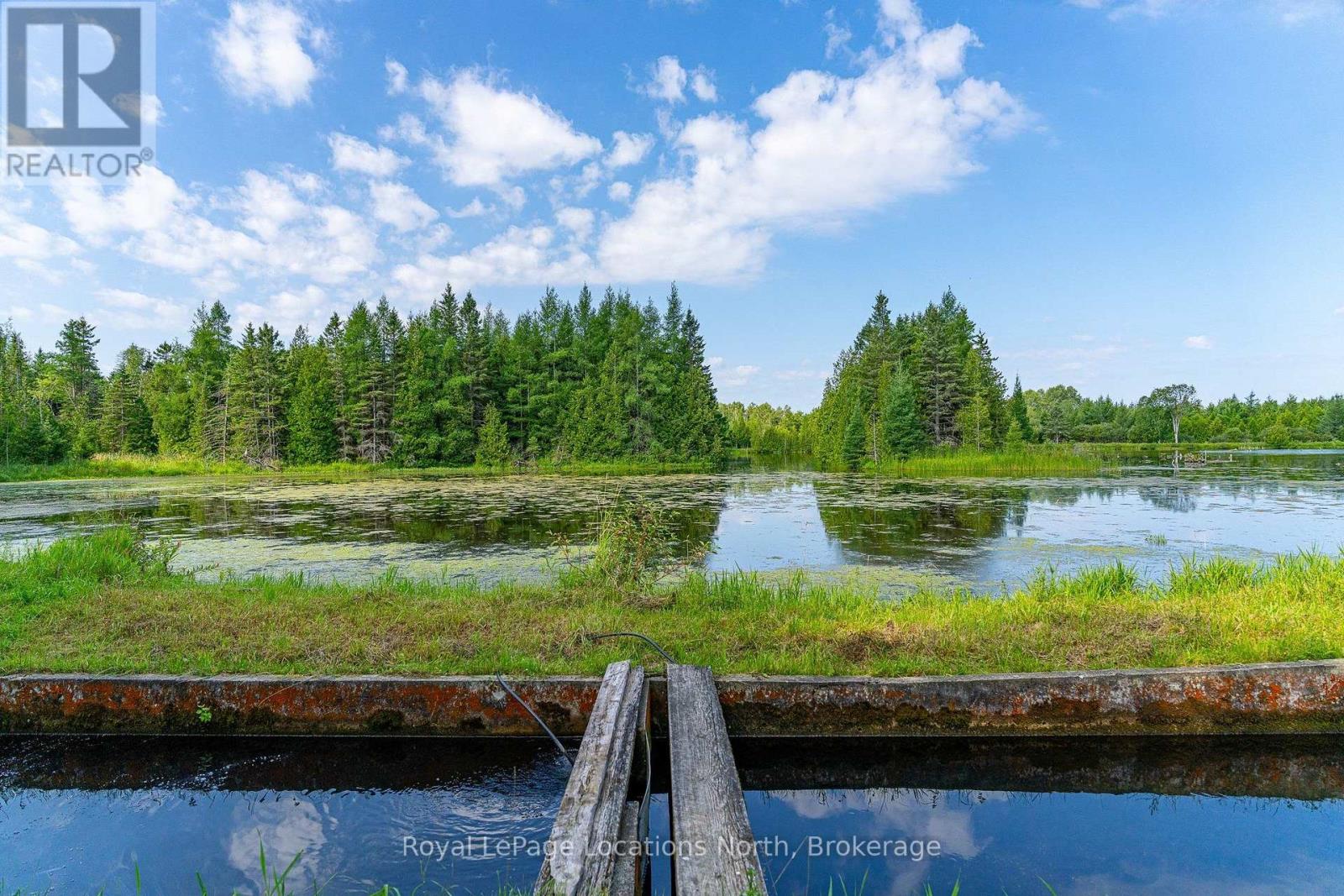 548037 3rd Side Road, Blue Mountains, Ontario N0H 2E0 - Photo 12 - X13868172