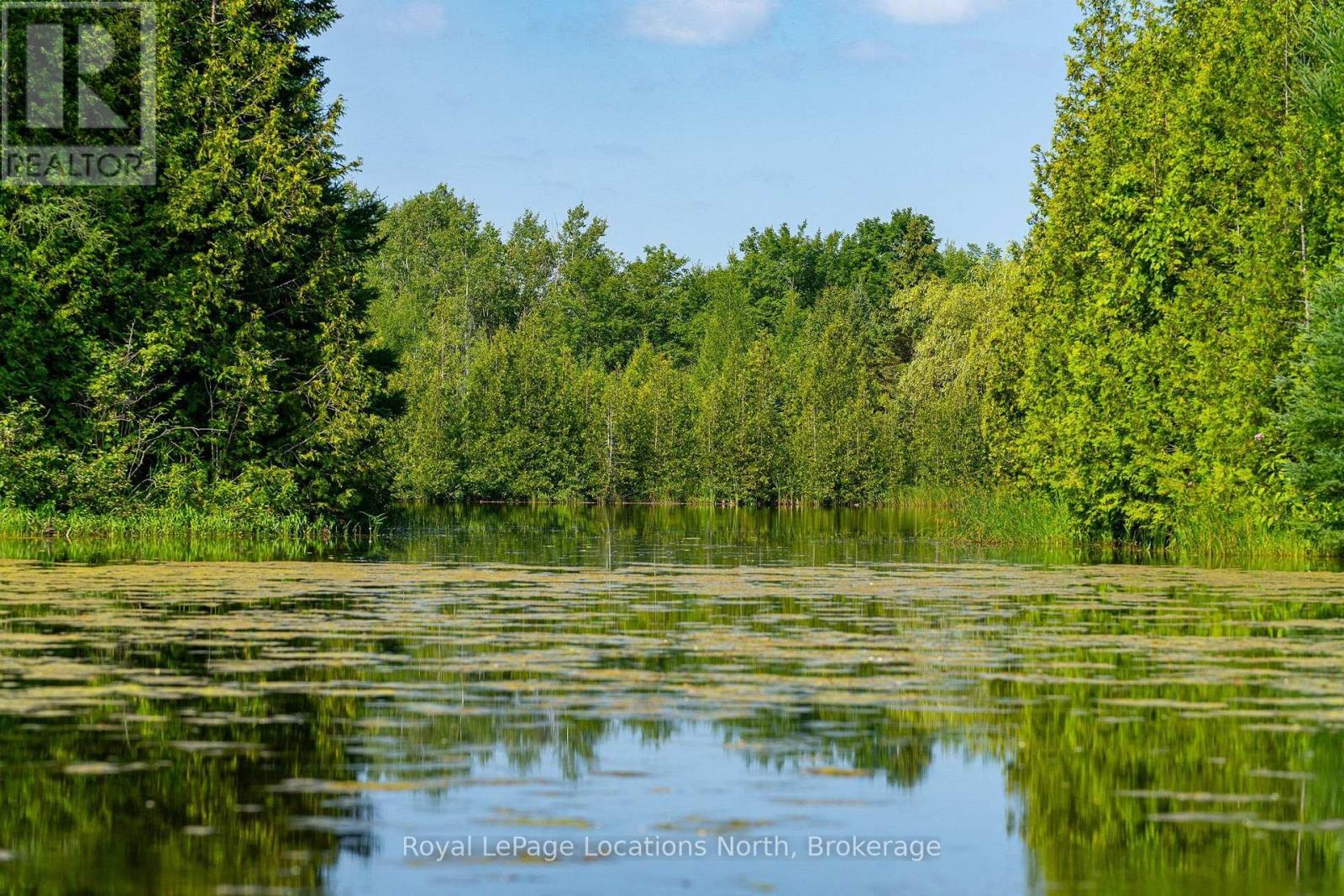 548037 3rd Side Road, Blue Mountains, Ontario N0H 2E0 - Photo 23 - X13868172
