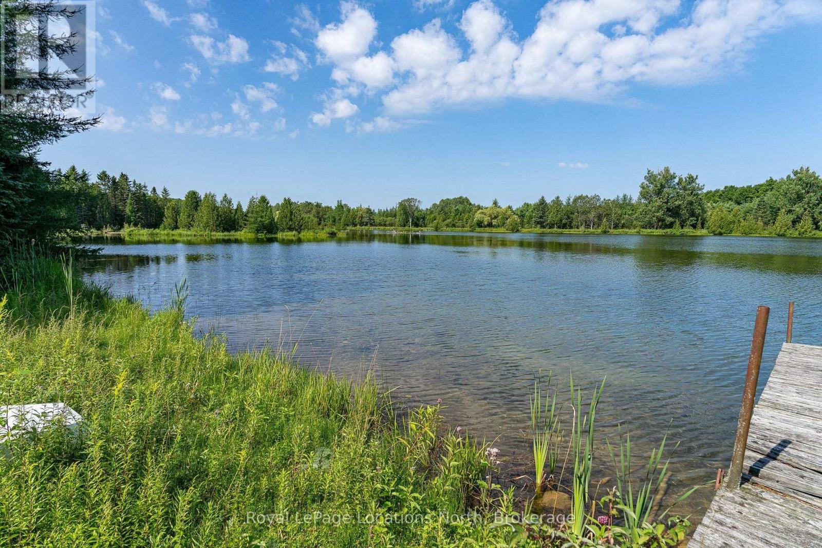 548037 3rd Side Road, Blue Mountains, Ontario N0H 2E0 - Photo 25 - X13868172