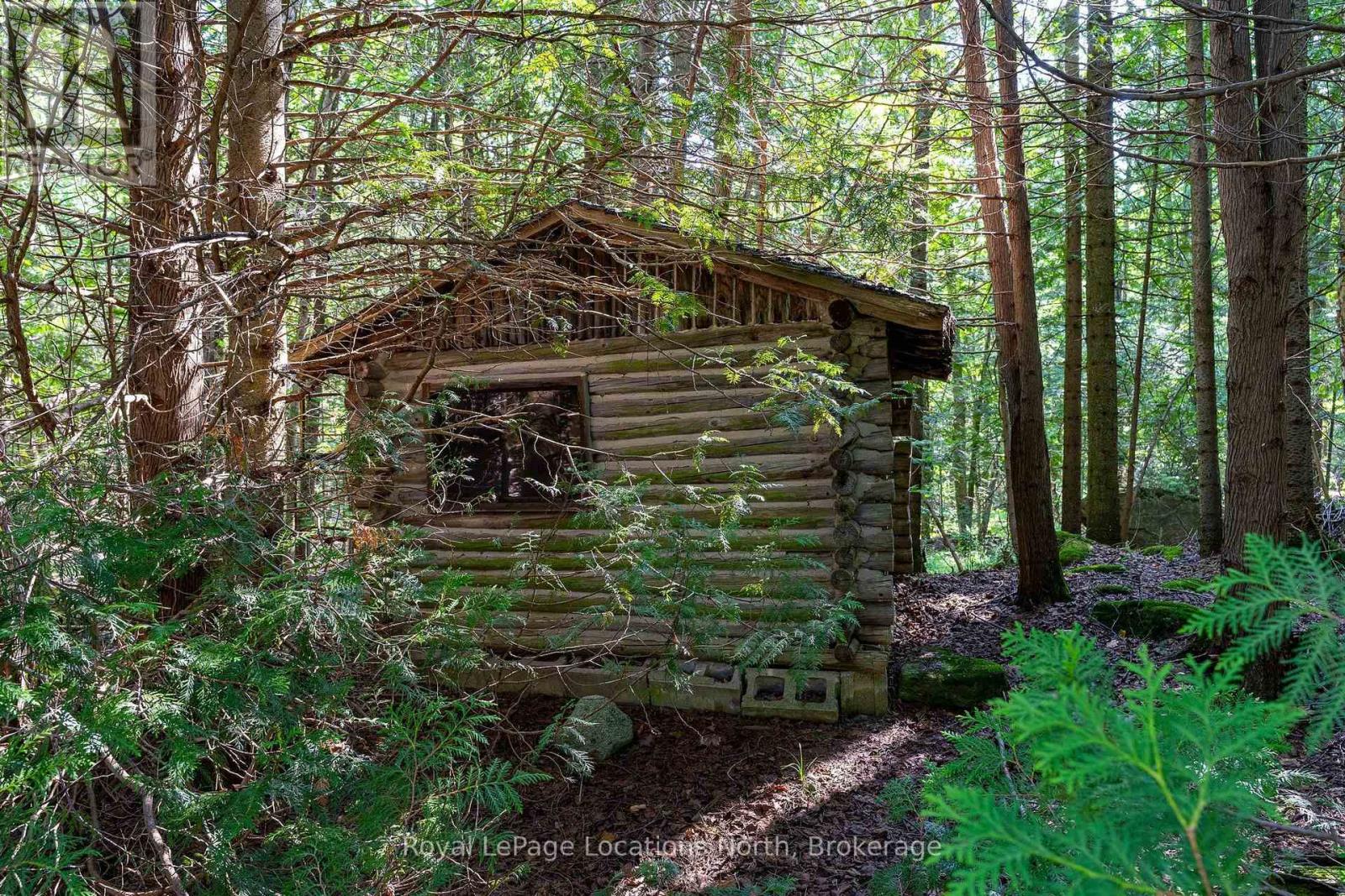 548037 3rd Side Road, Blue Mountains, Ontario N0H 2E0 - Photo 28 - X13868172