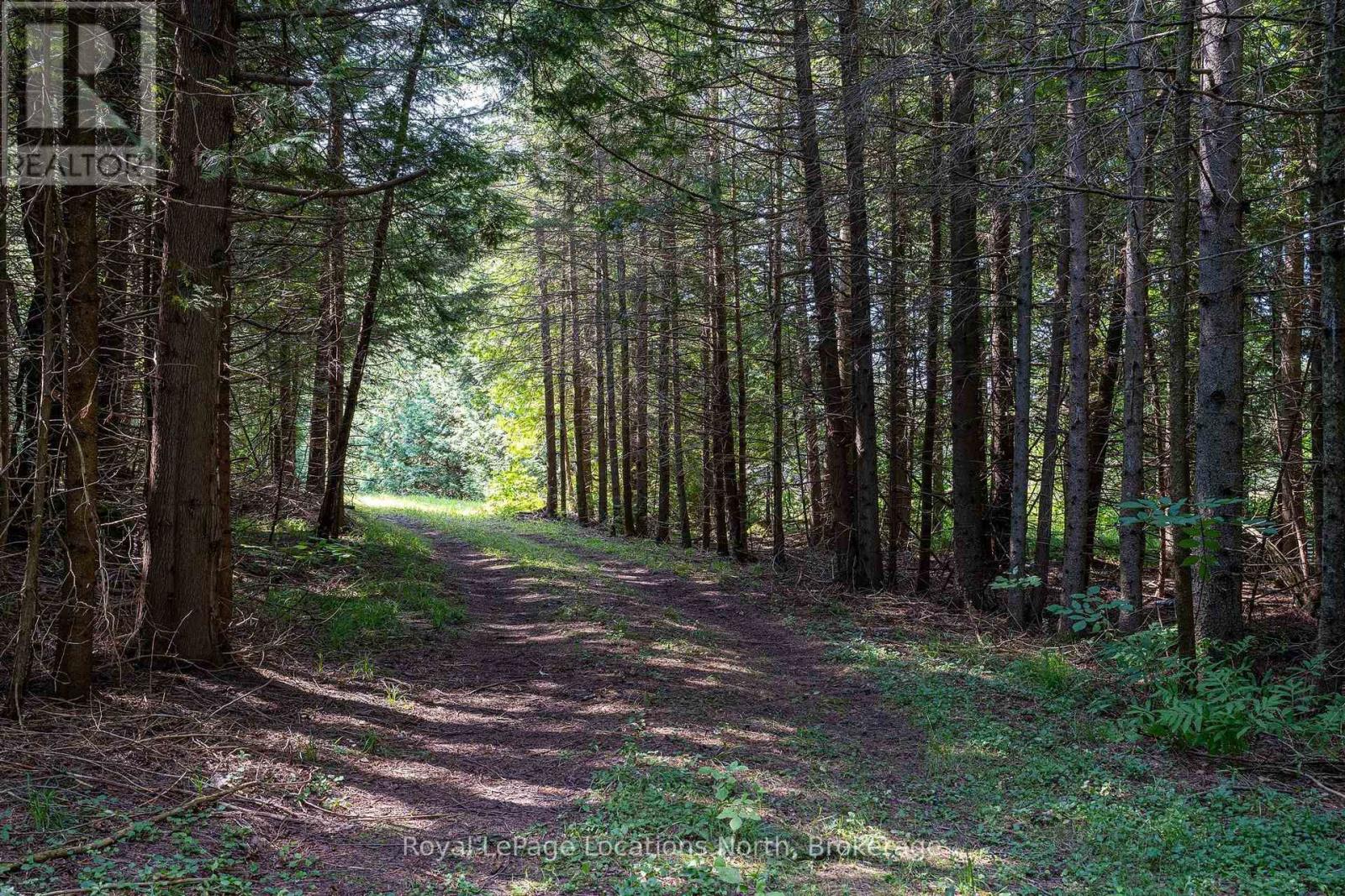 548037 3rd Side Road, Blue Mountains, Ontario N0H 2E0 - Photo 29 - X13868172