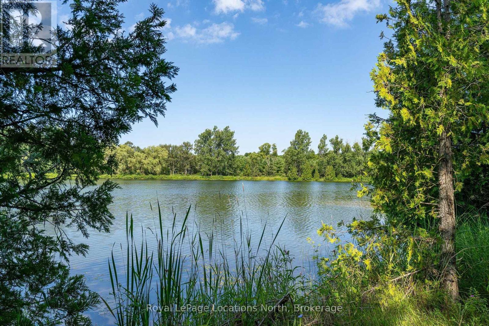 548037 3rd Side Road, Blue Mountains, Ontario N0H 2E0 - Photo 31 - X13868172