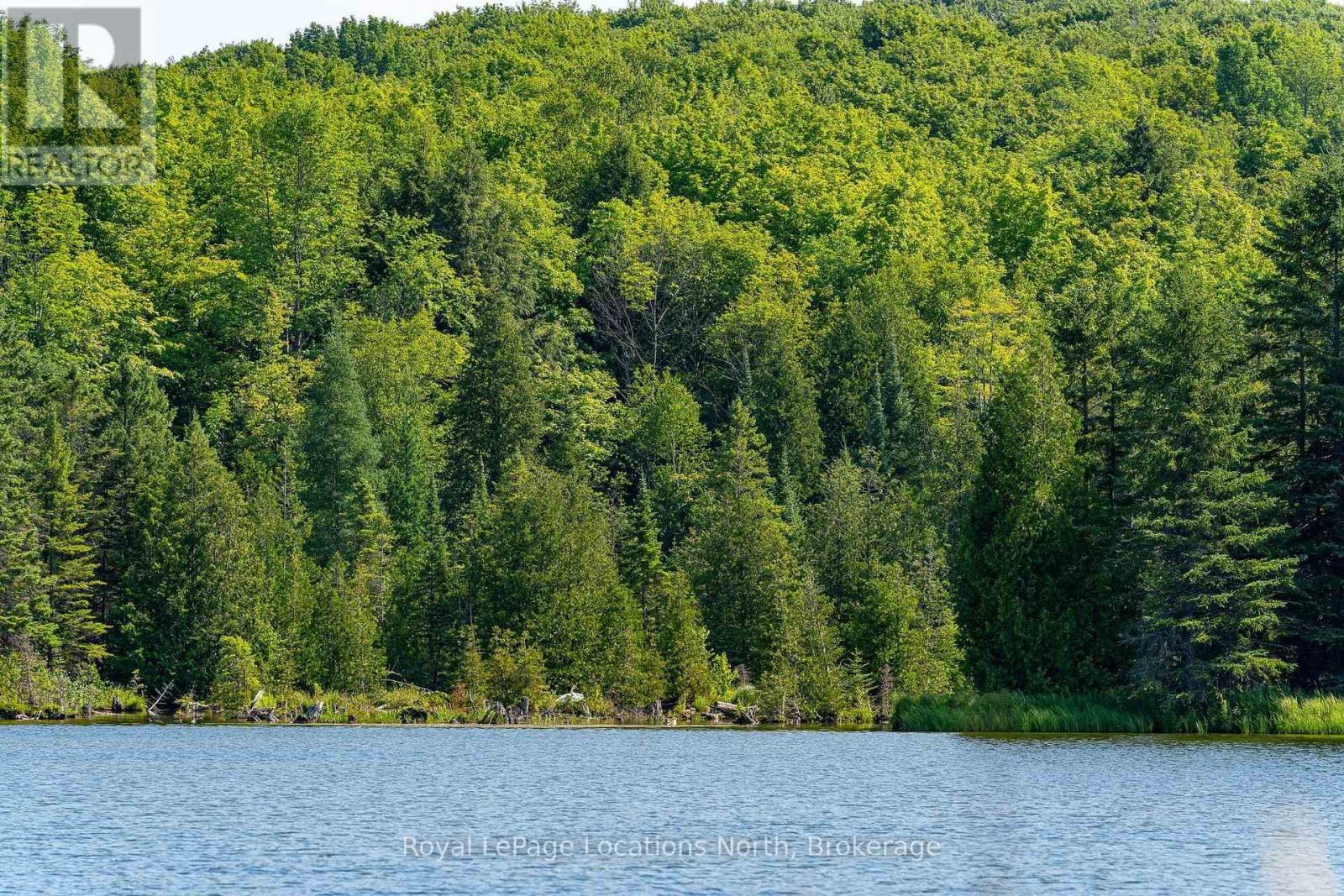 548037 3rd Side Road, Blue Mountains, Ontario N0H 2E0 - Photo 37 - X13868172