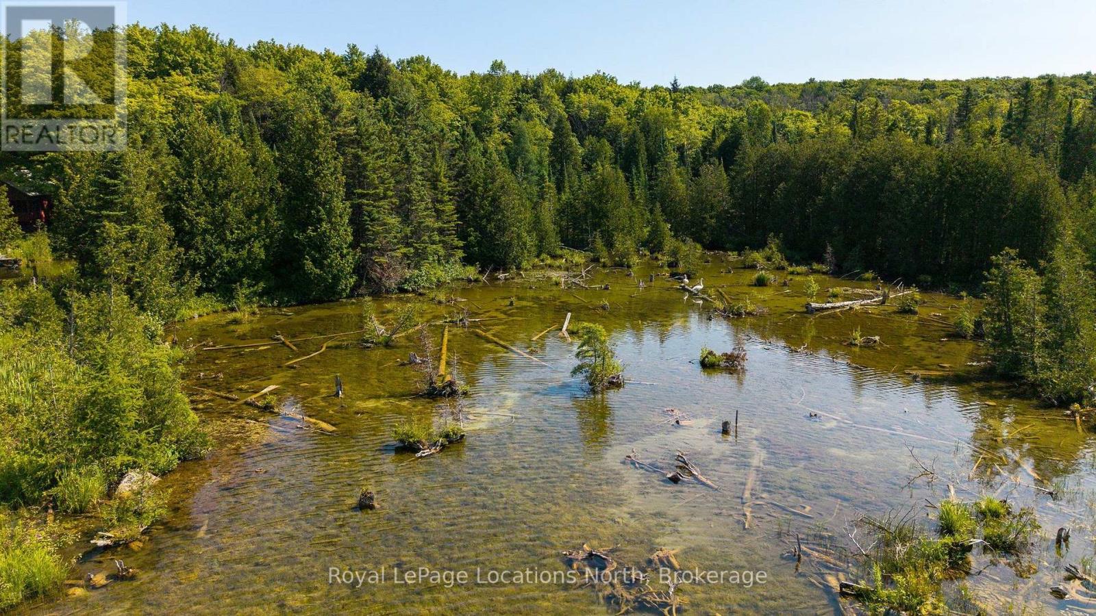 548037 3rd Side Road, Blue Mountains, Ontario N0H 2E0 - Photo 42 - X13868172