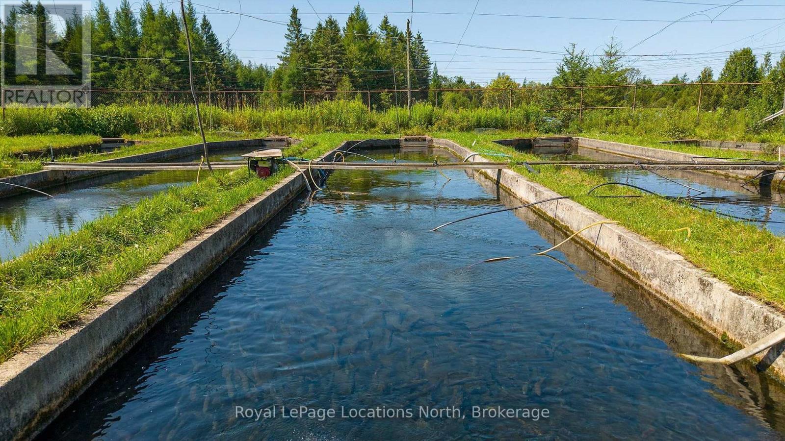 548037 3rd Side Road, Blue Mountains, Ontario N0H 2E0 - Photo 8 - X13868172