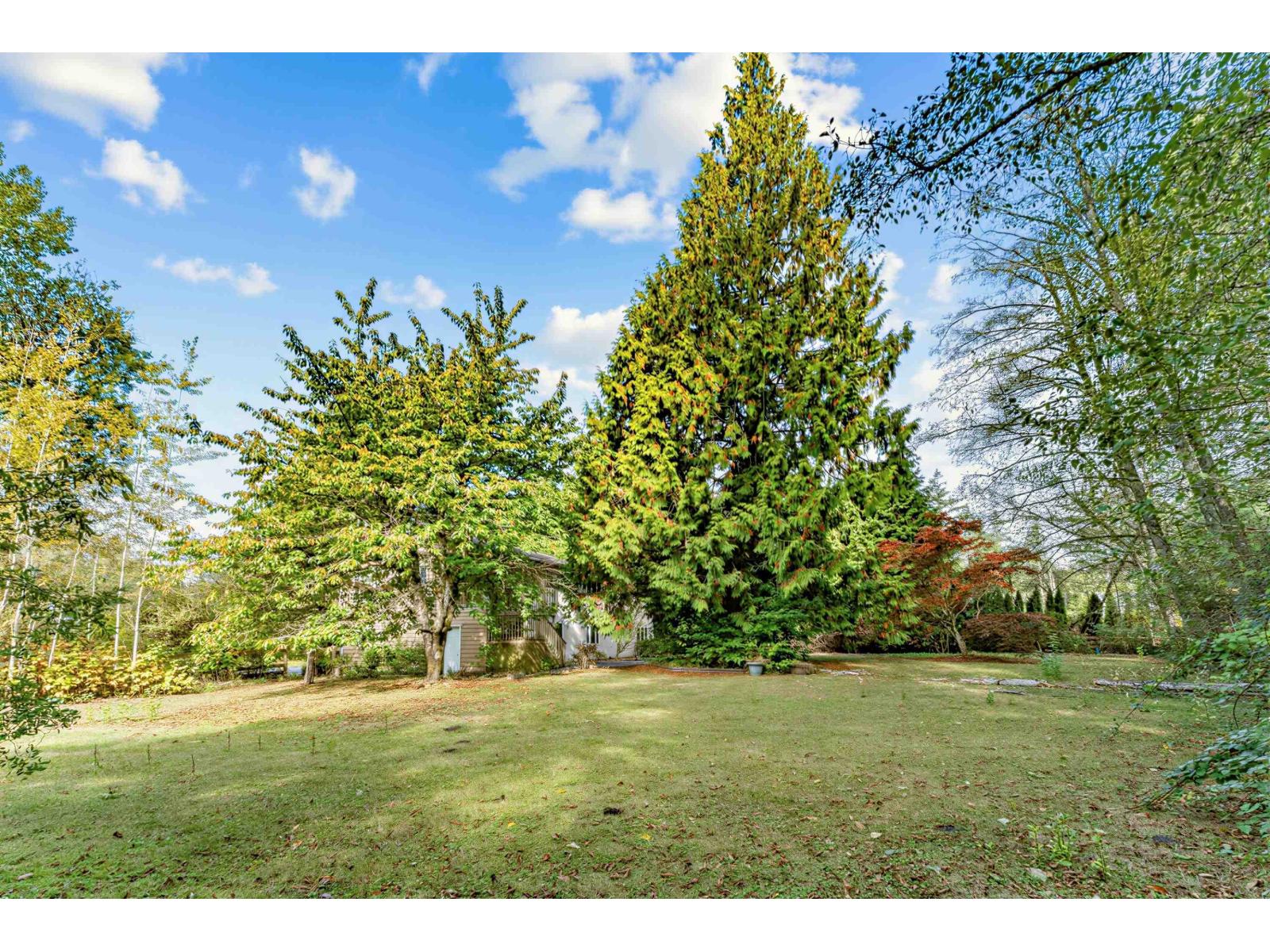 2244 171 Street, Surrey, British Columbia  V3Z 9X6 - Photo 35 - R3172487