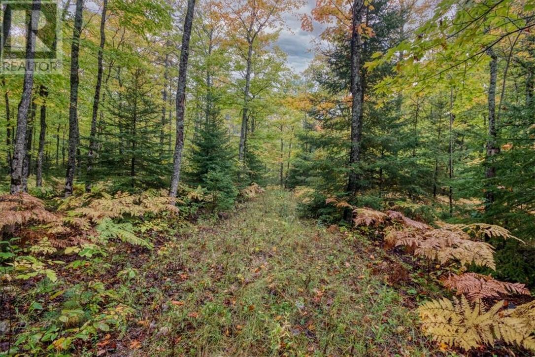 100 Steven, Gore Bay, Ontario  P0P 1H0 - Photo 2 - 2130791