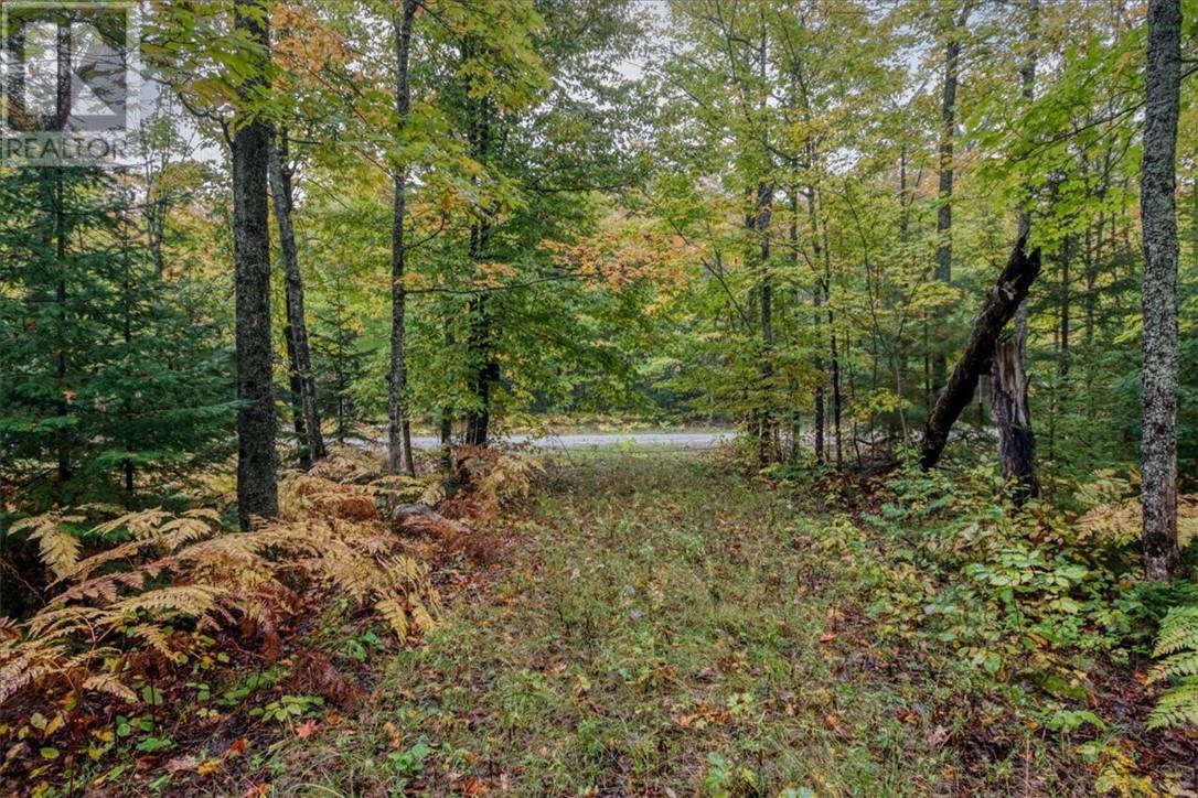 100 Steven, Gore Bay, Ontario  P0P 1H0 - Photo 6 - 2130791