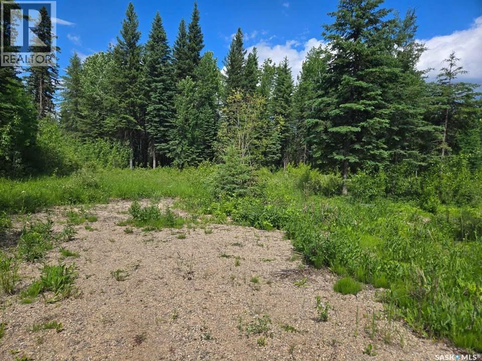 39 Cranberry Creek Crescent, Candle Lake, Saskatchewan  S0J 3E0 - Photo 13 - SK050480