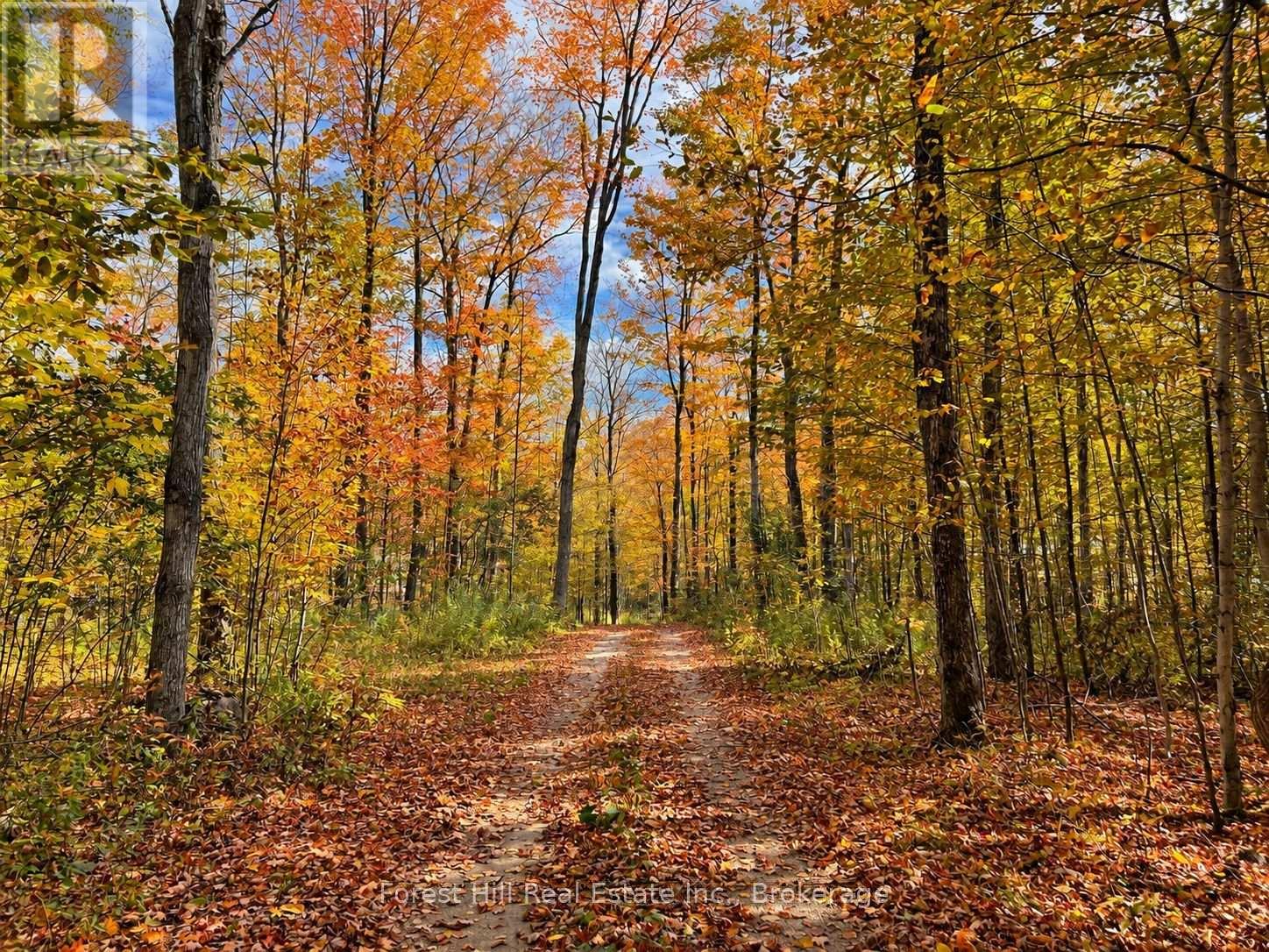 495595 Veterans Road S, Chatsworth, Ontario  N0H 1R0 - Photo 3 - X13782256