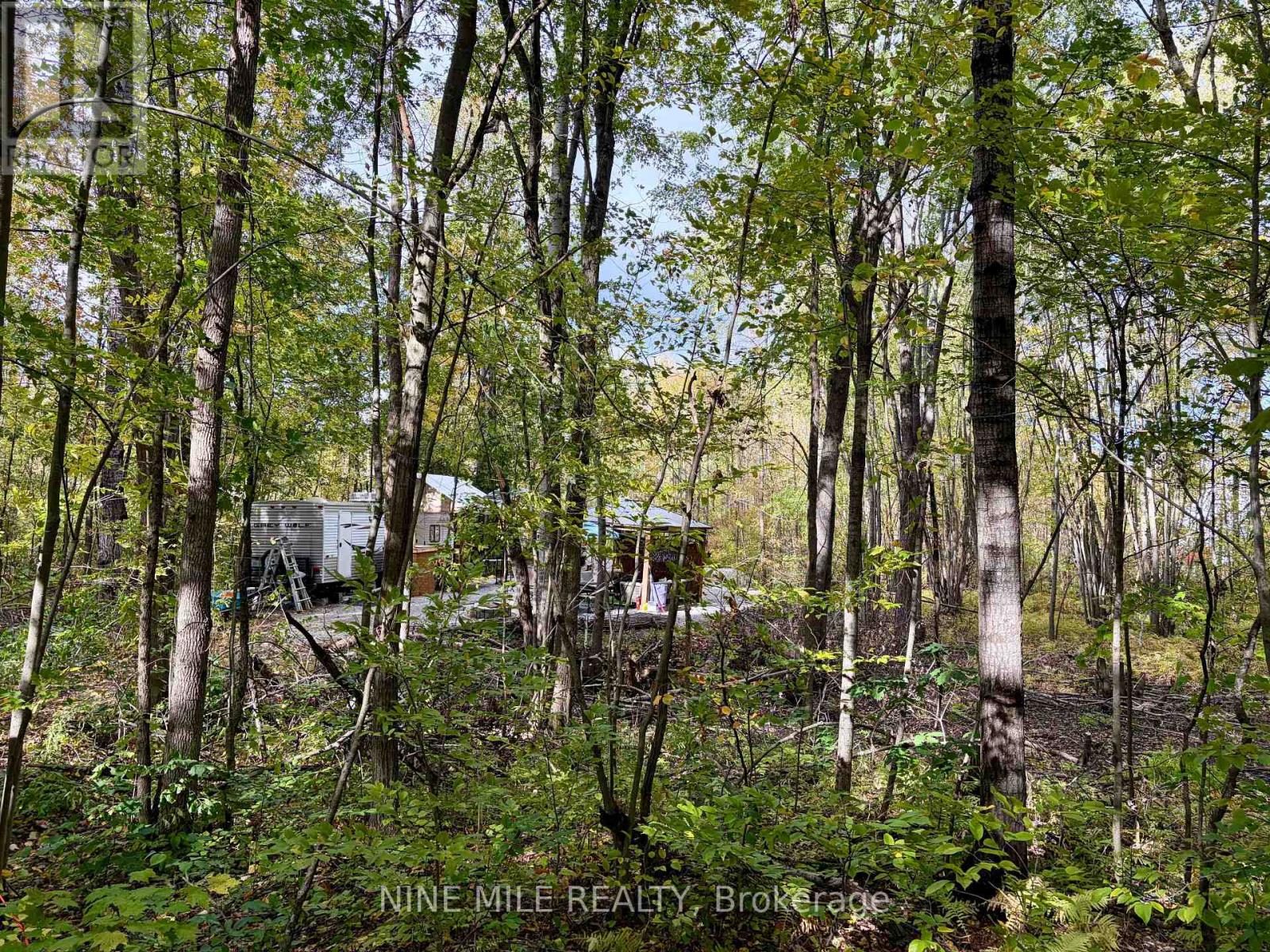 3159 Switch Road, Ramara, Ontario  L0K 2B0 - Photo 16 - S13868354