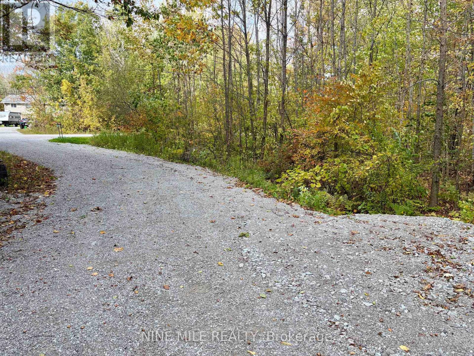 3159 Switch Road, Ramara, Ontario  L0K 2B0 - Photo 6 - S13868354