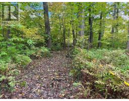 3159 SWITCH ROAD, Ramara, Ontario