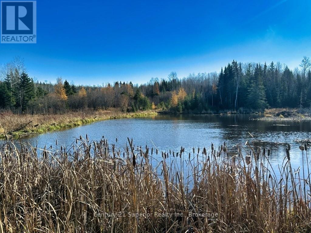 515 Portage Creek Road, Thunder Bay Remote Area, Ontario  P0T 1X0 - Photo 33 - X13250512