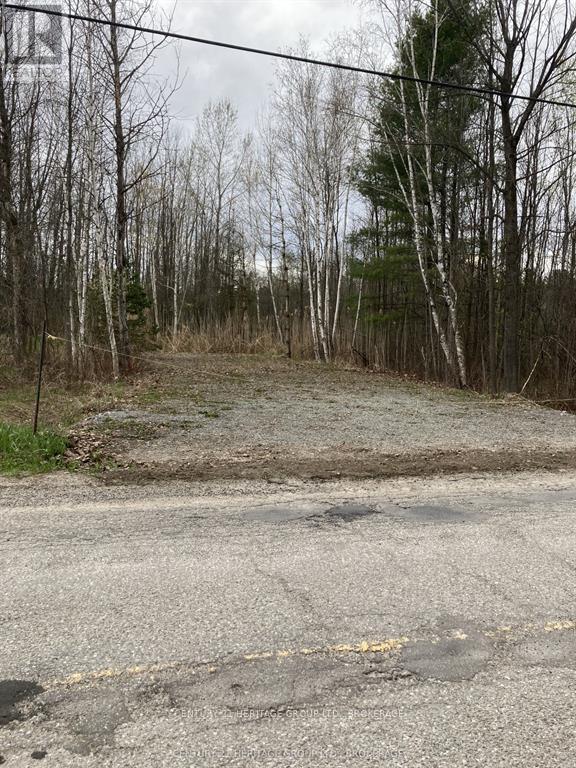 106 Perth Street, Rideau Lakes, Ontario  K0G 1E0 - Photo 4 - X13868808
