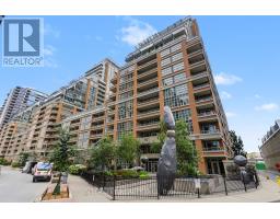 527 - 85 EAST LIBERTY STREET, Toronto, Ontario