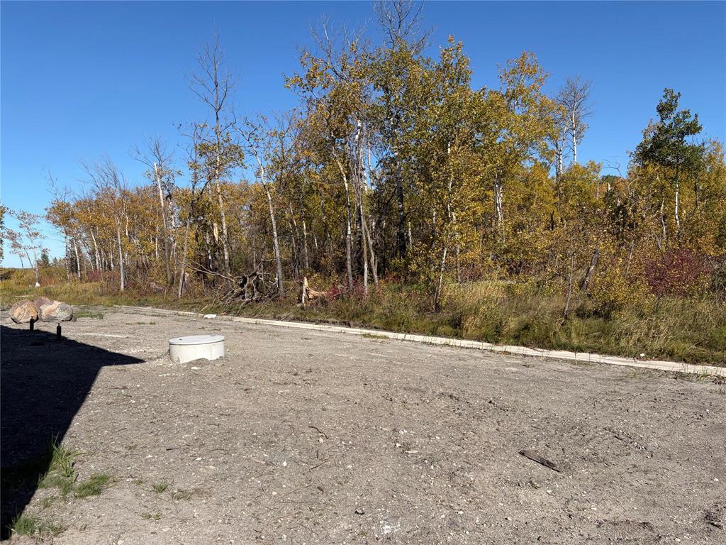 91 Westgrove Crescent, Kleefeld, Manitoba  R0A 0V2 - Photo 9 - 202621084