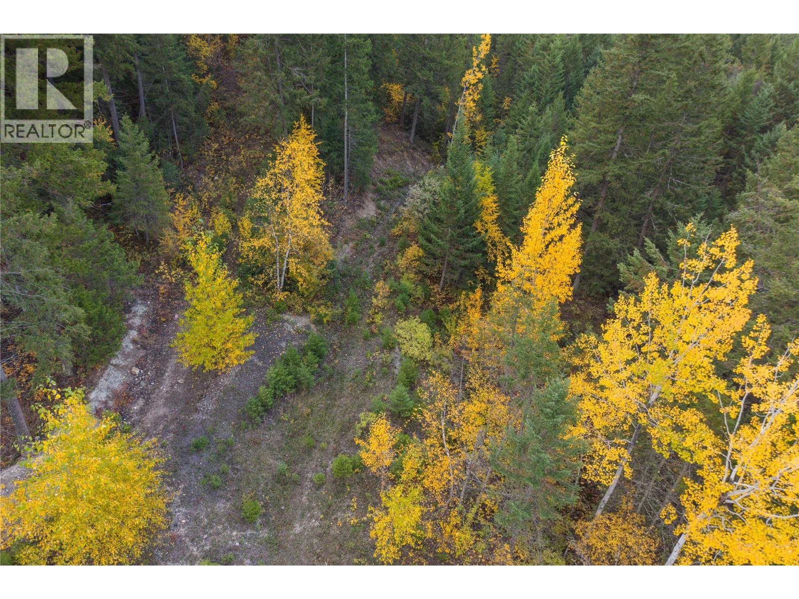 1260 WHITETAIL Drive