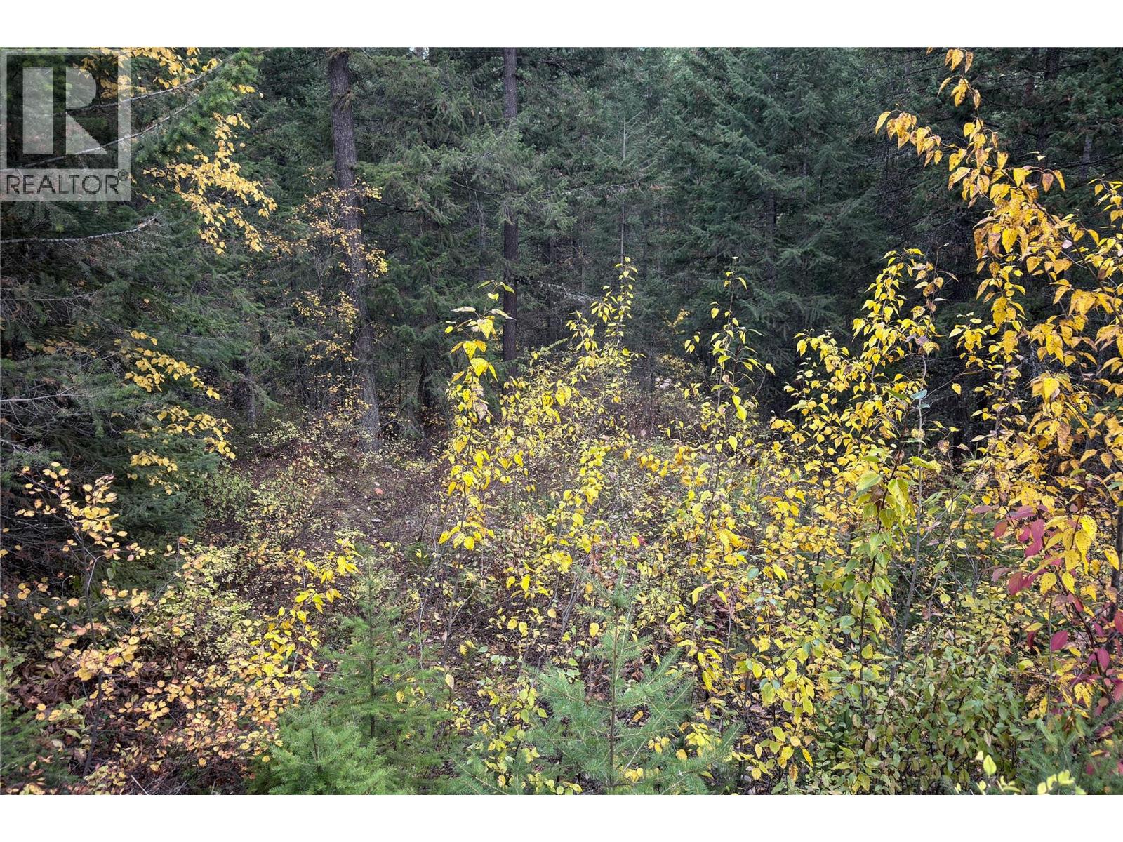 1260 WHITETAIL Drive