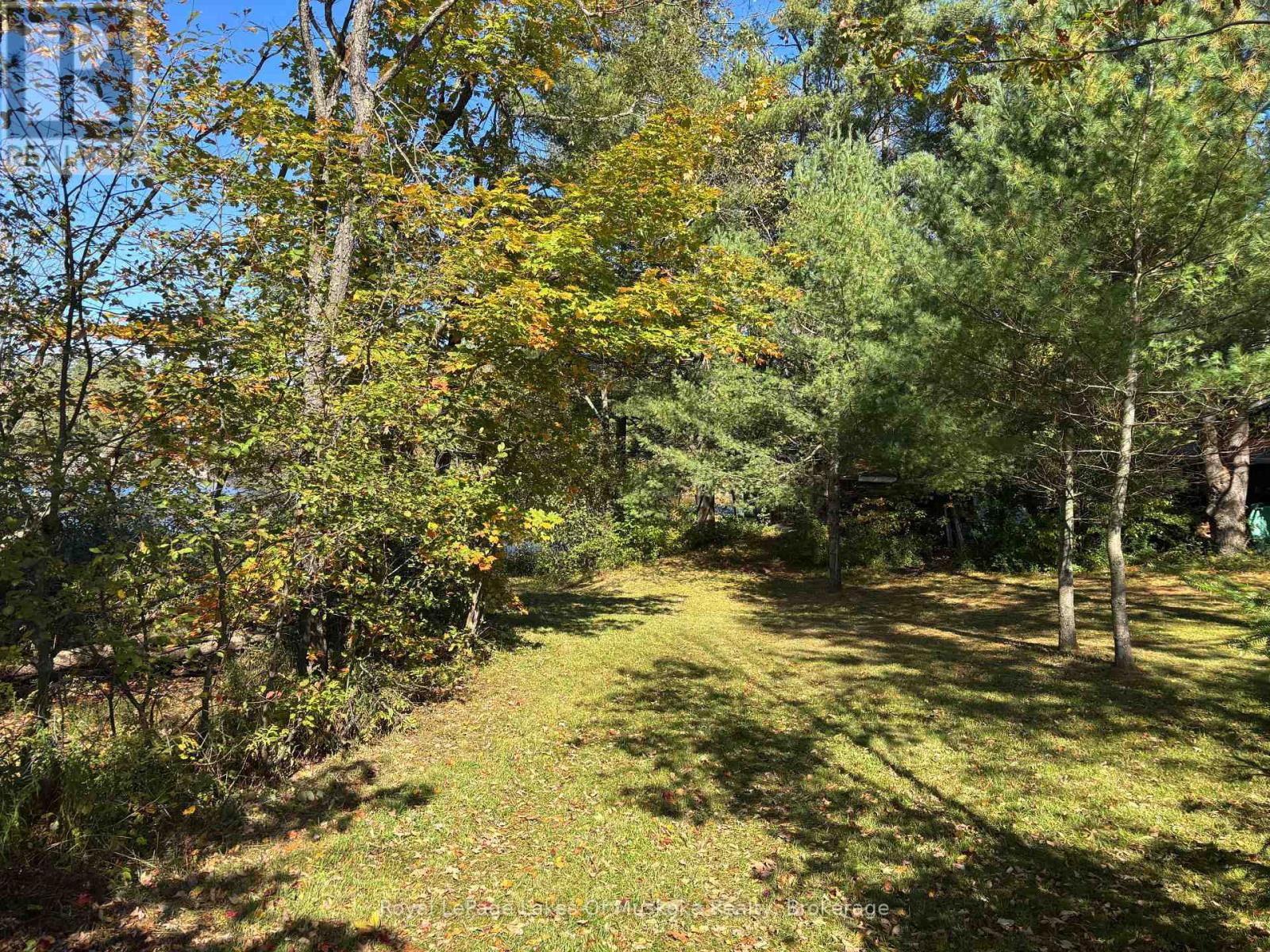 1345 Highway 118 East, Bracebridge, Ontario P1L 1X1 - Photo 3 - X13869088
