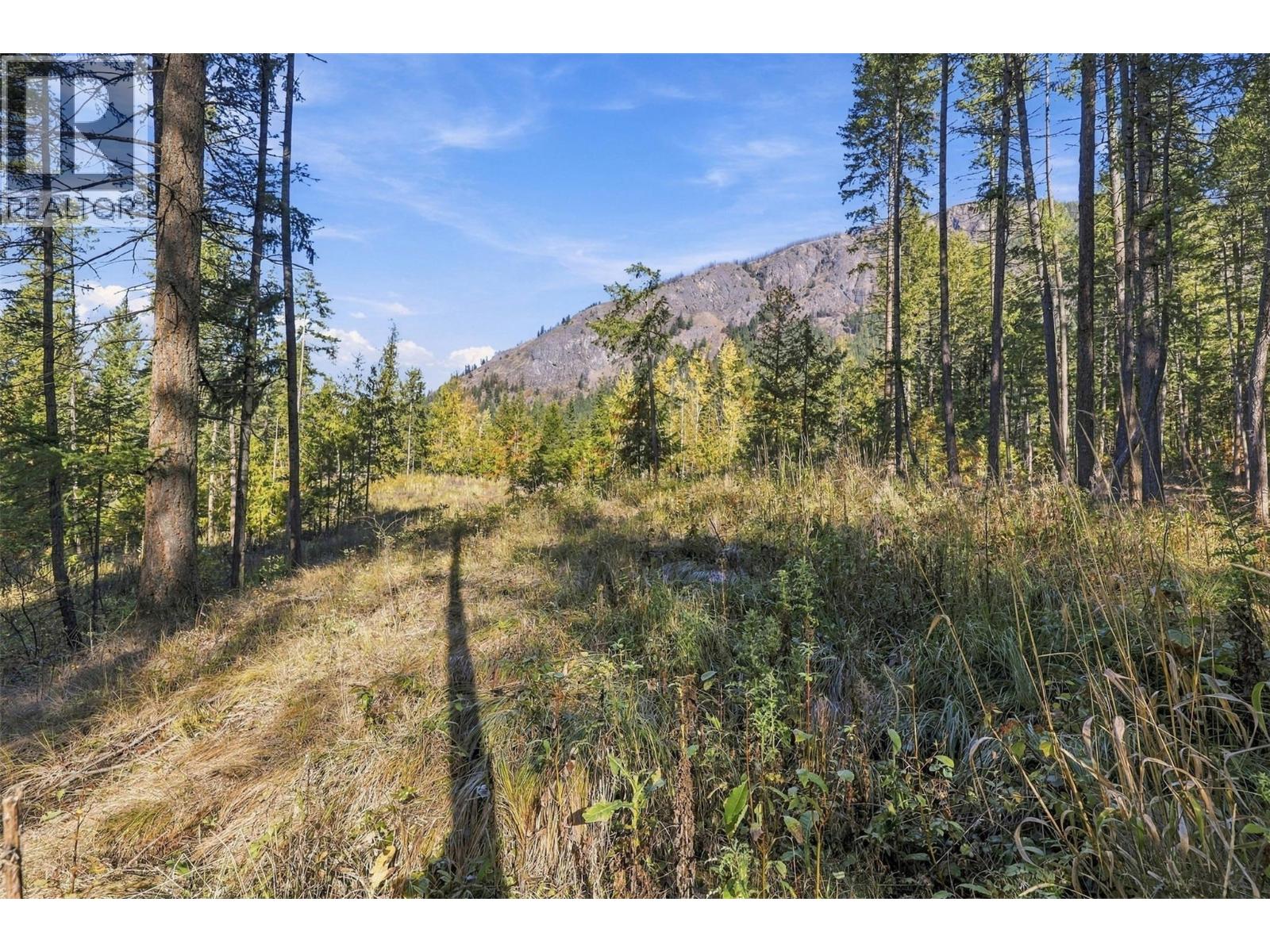 8488 BLACK MOUNTAIN Road