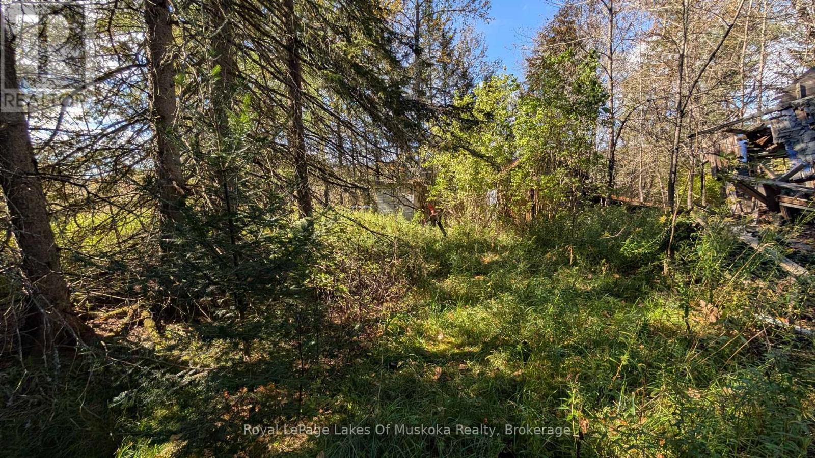 1827 Highway 141 Highway, Muskoka Lakes, Ontario P0B 1M0 - Photo 12 - X13869468
