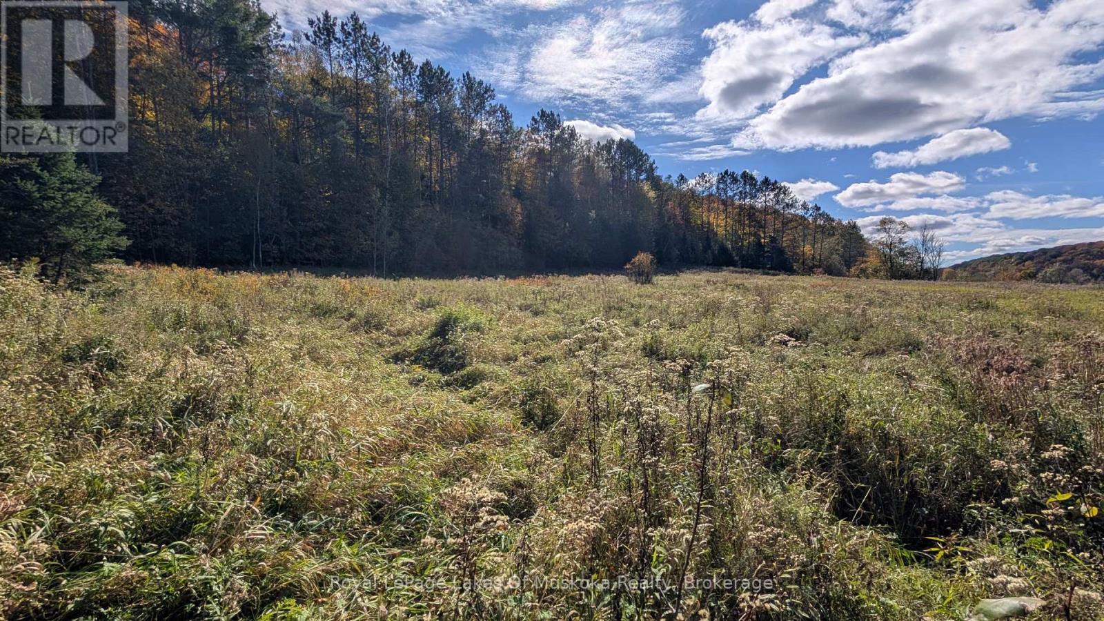 1827 Highway 141 Highway, Muskoka Lakes, Ontario P0B 1M0 - Photo 2 - X13869468