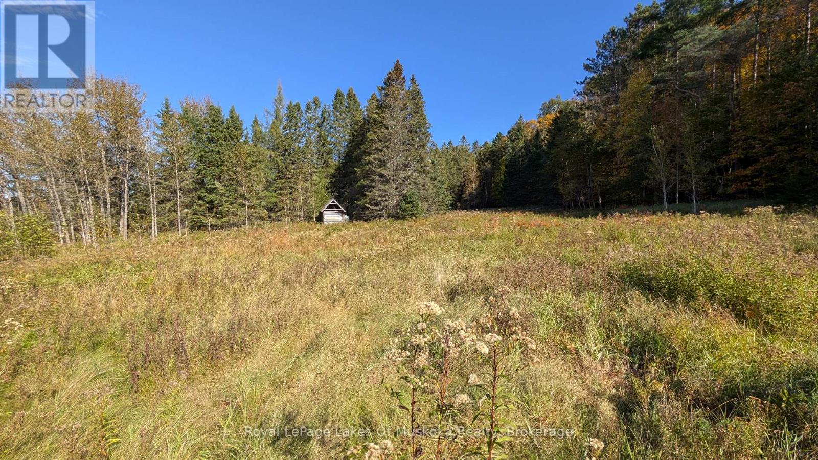 1827 Highway 141 Highway, Muskoka Lakes, Ontario P0B 1M0 - Photo 4 - X13869468