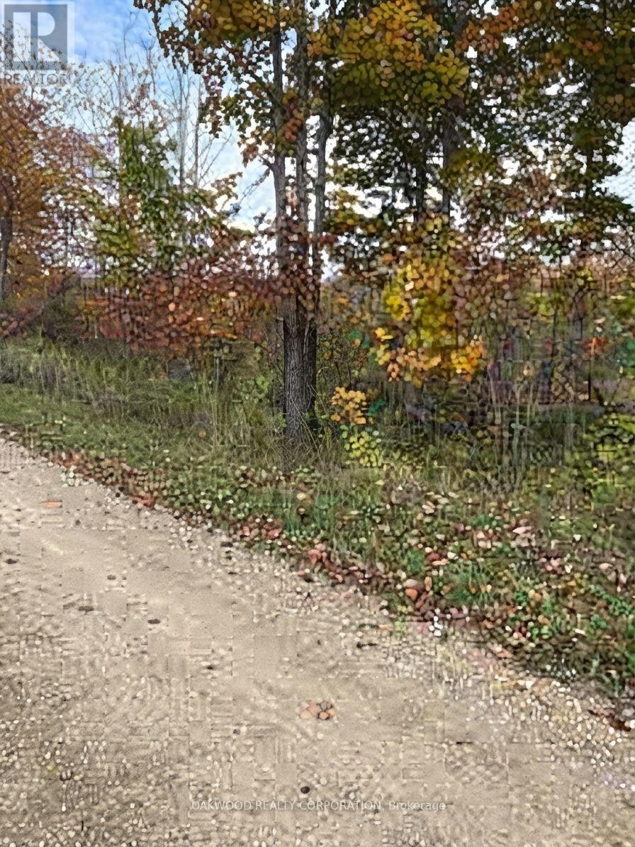 0 Side Road 60, Chatsworth, Ontario  N0C 1H0 - Photo 1 - X13864850
