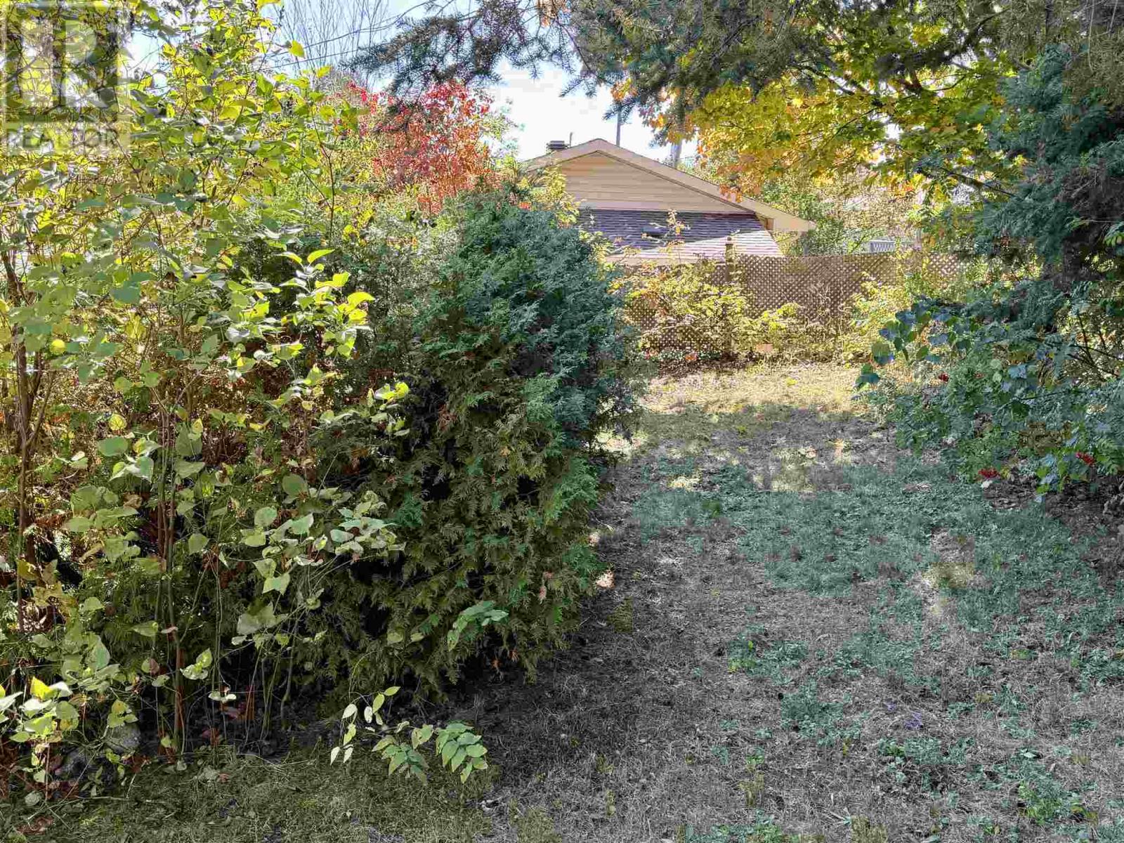 picture 31