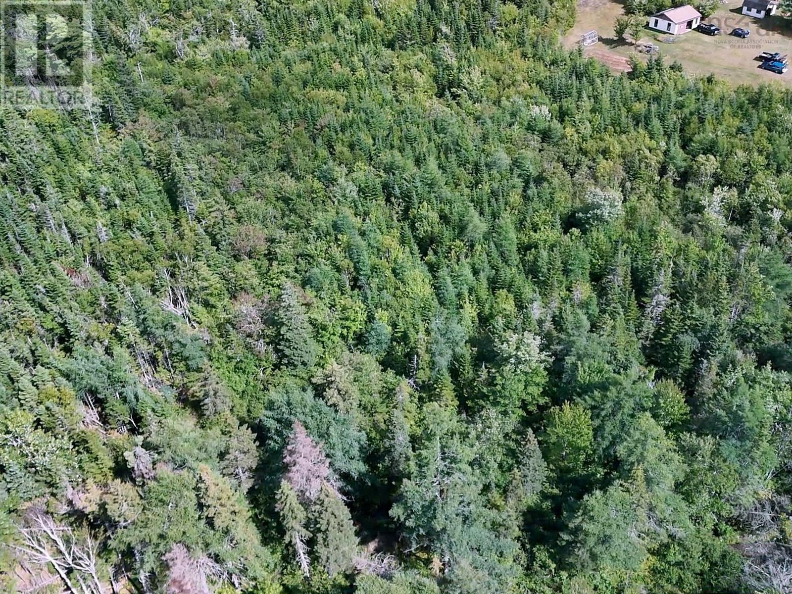New Boston Rd, New Boston Road, Albert Bridge, Nova Scotia  B1K 2P7 - Photo 6 - 202625297