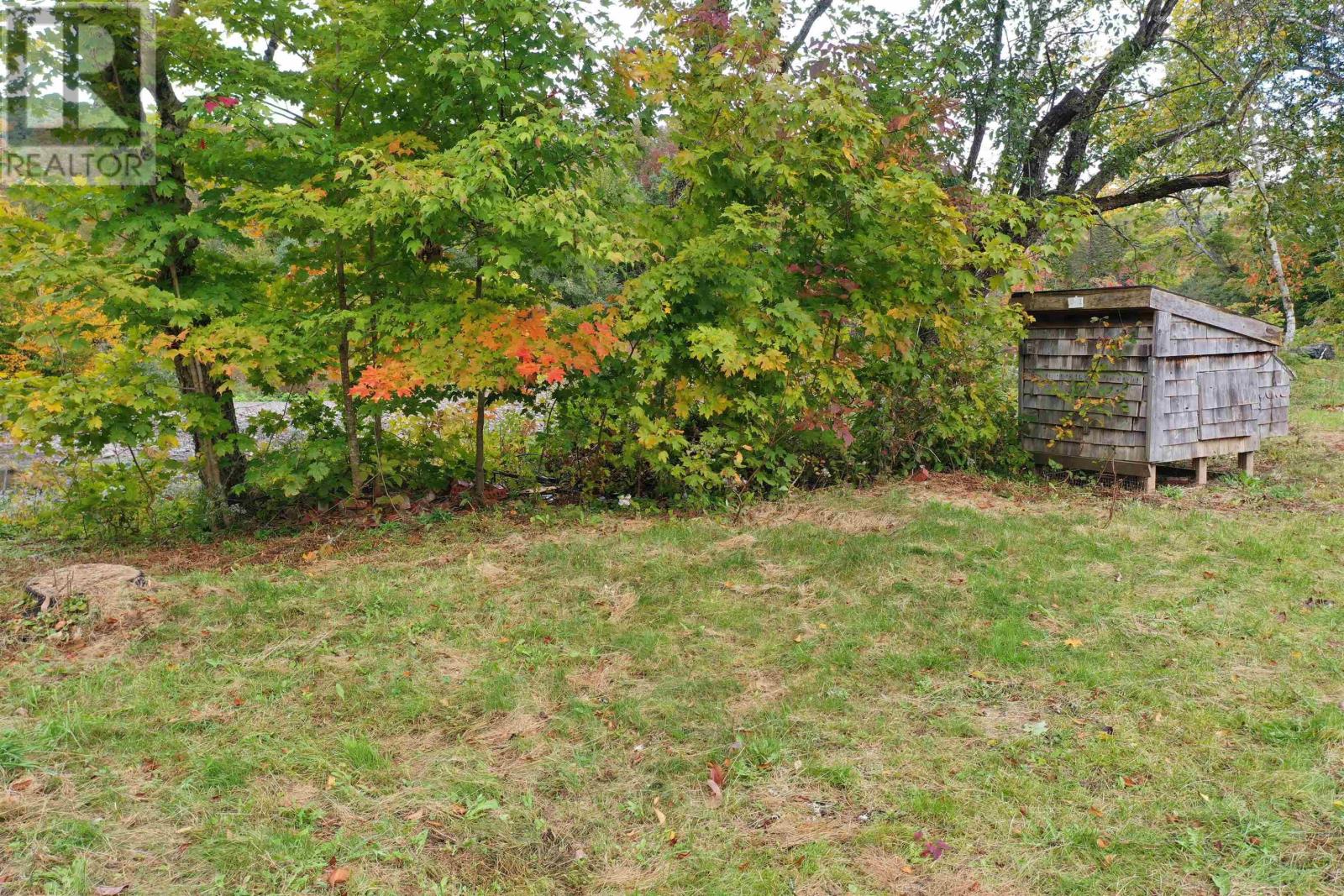 picture 28