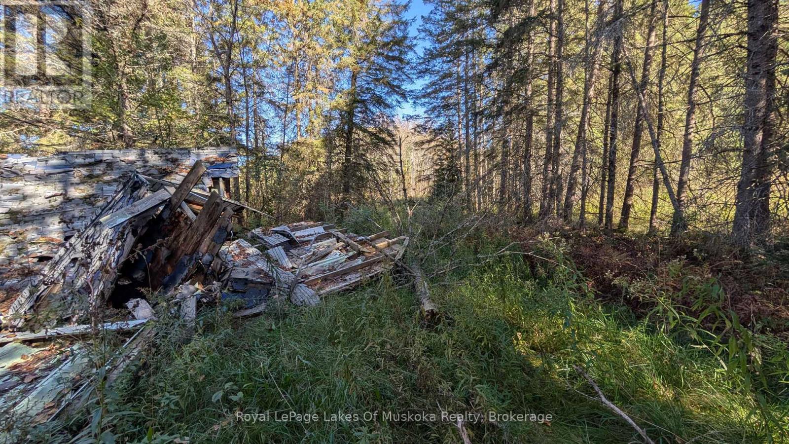 1827 Highway 141 Highway, Muskoka Lakes, Ontario  P0B 1M0 - Photo 12 - X13869468