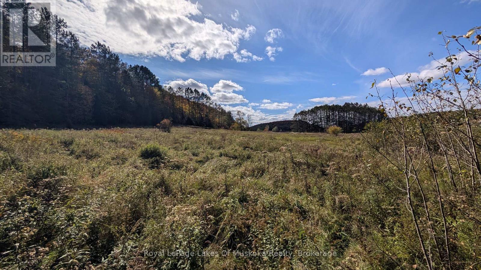 1827 Highway 141 Highway, Muskoka Lakes, Ontario  P0B 1M0 - Photo 11 - X13869468