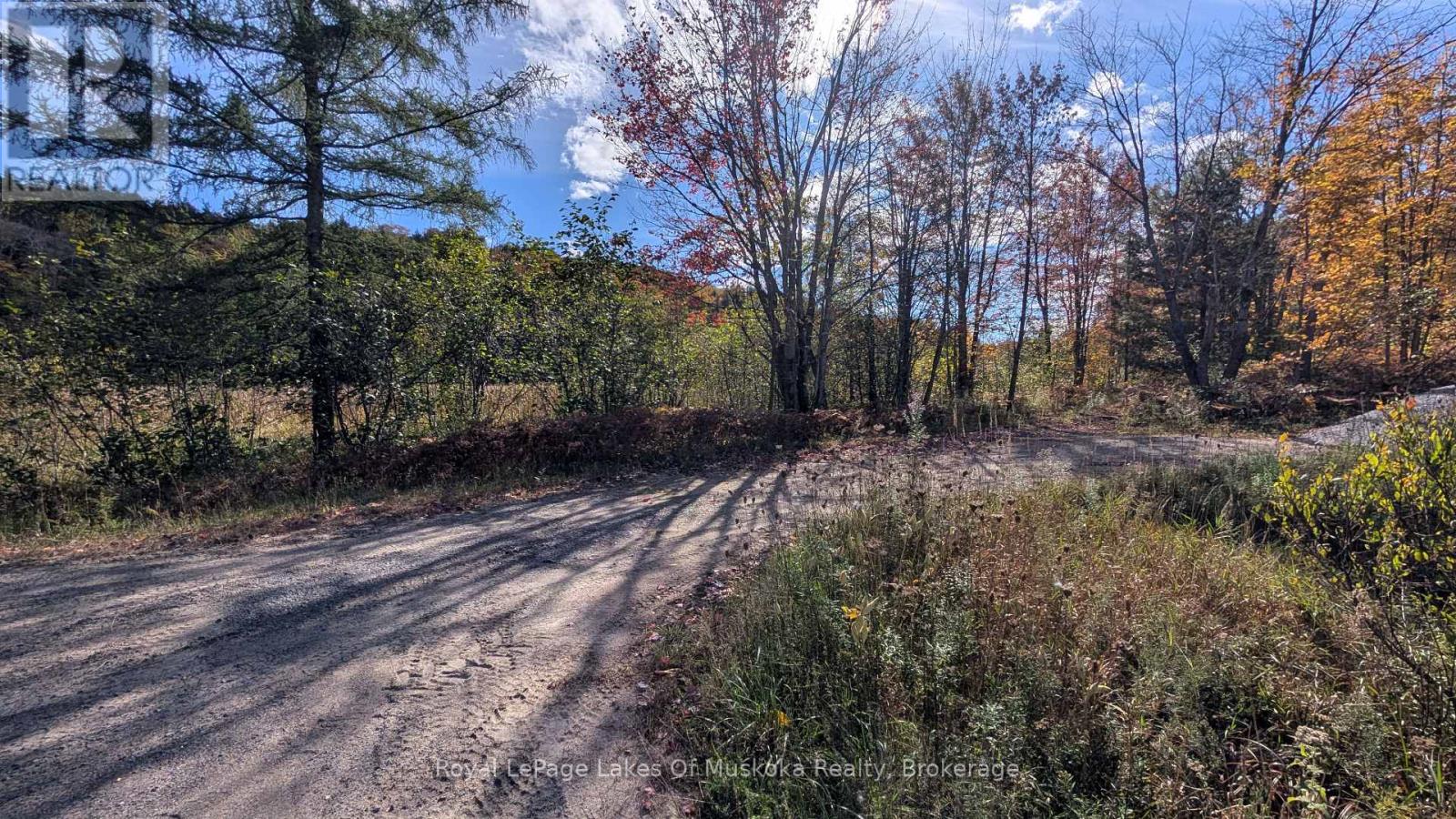 Pt Lt 14 Con B Highway 141 Highway, Muskoka Lakes, Ontario  P0B 1M0 - Photo 11 - X13869474