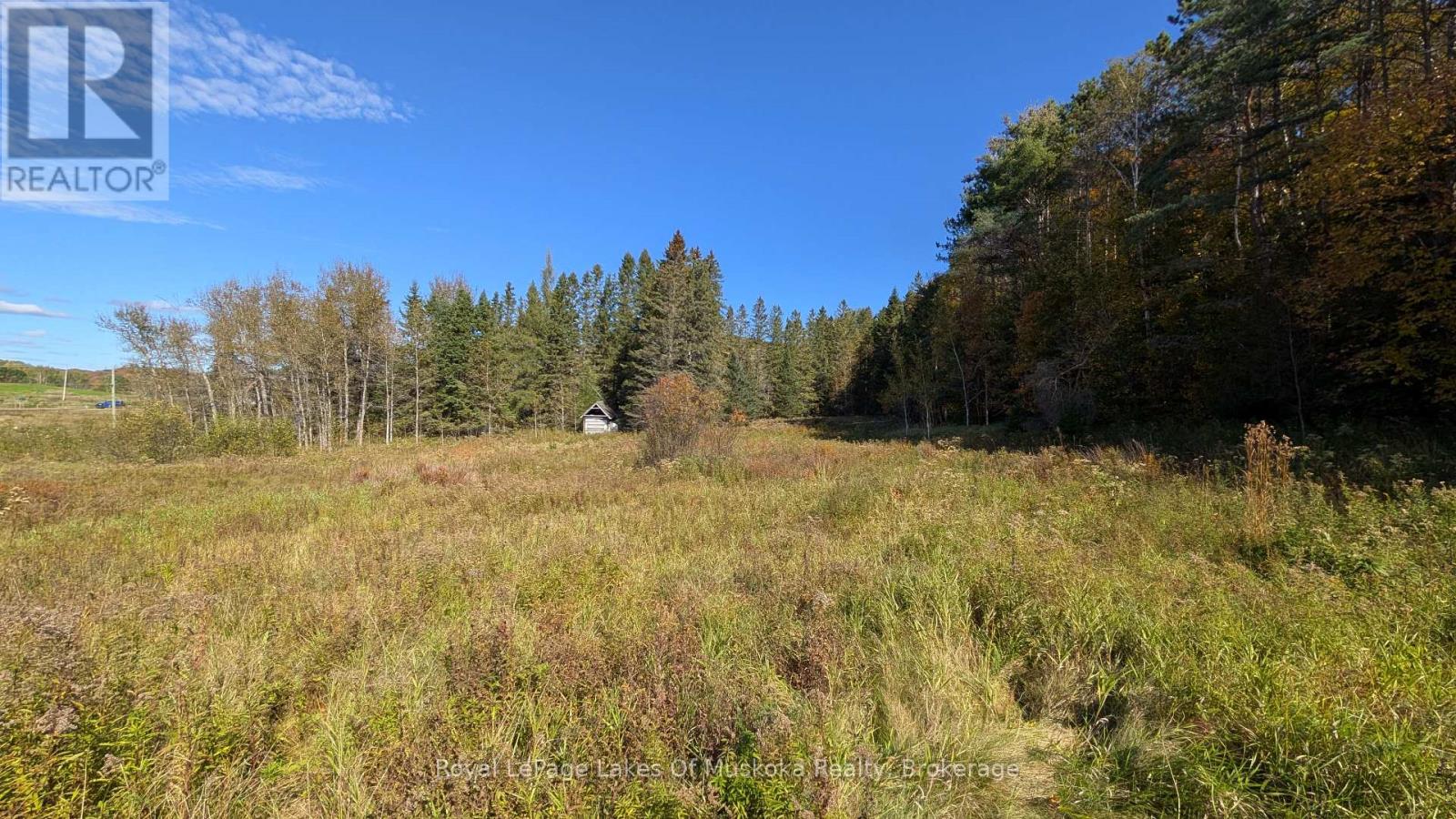 1827 Highway 141 Highway, Muskoka Lakes, Ontario  P0B 1M0 - Photo 7 - X13869468
